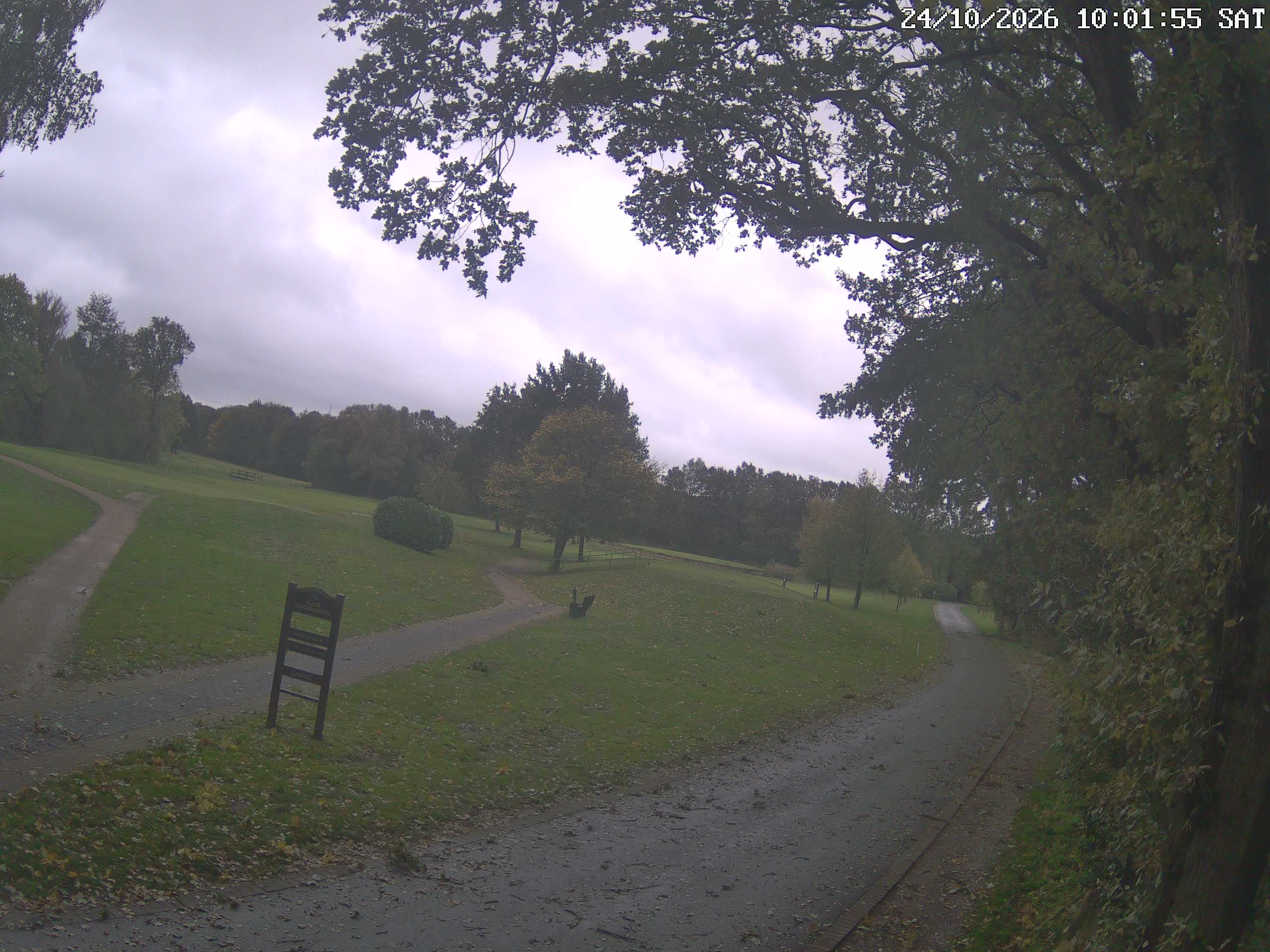 GCW Webcam Grün 10