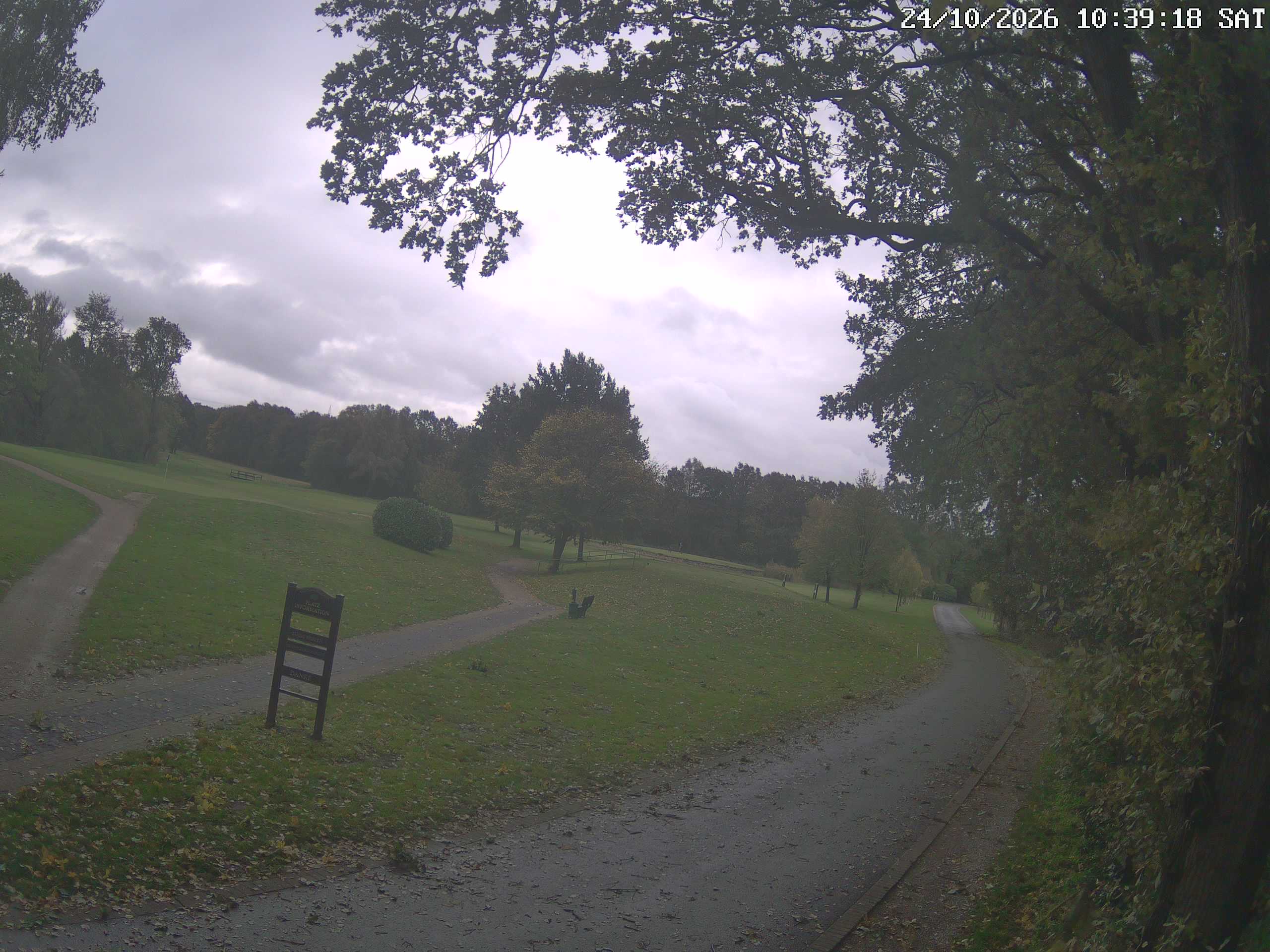 GCW Webcam Grün 10