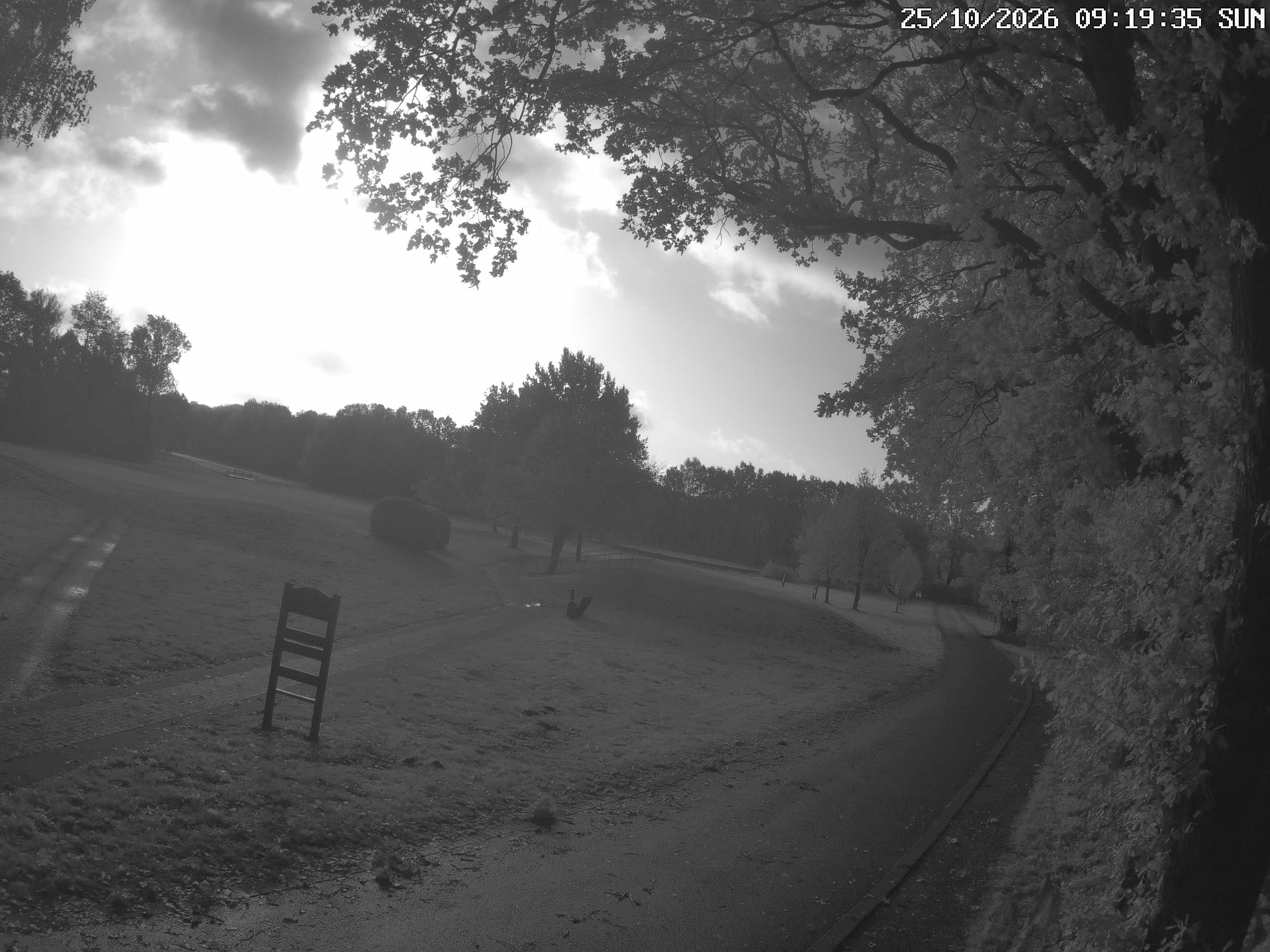 GCW Webcam Grün 10