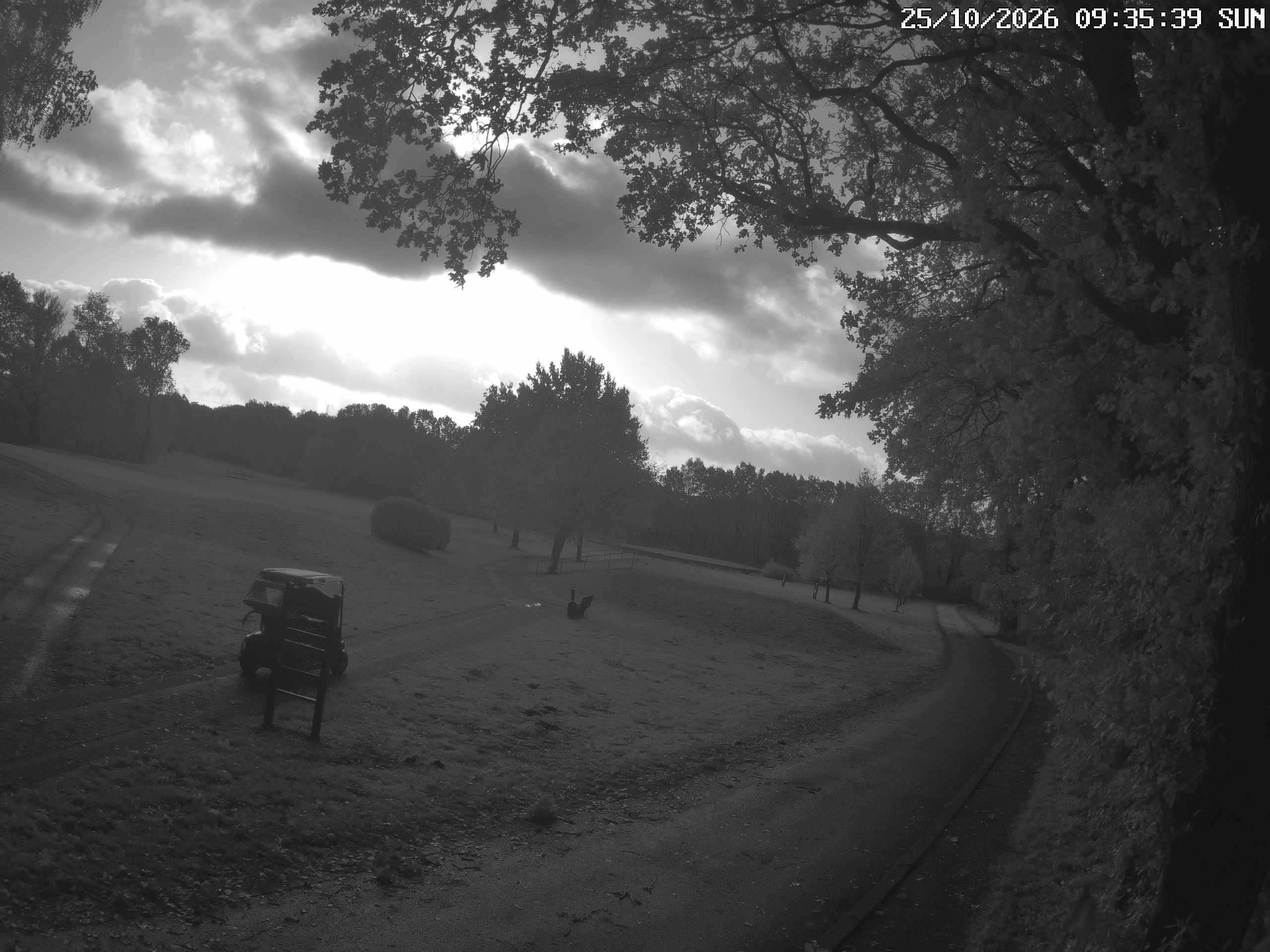 GCW Webcam Grün 10