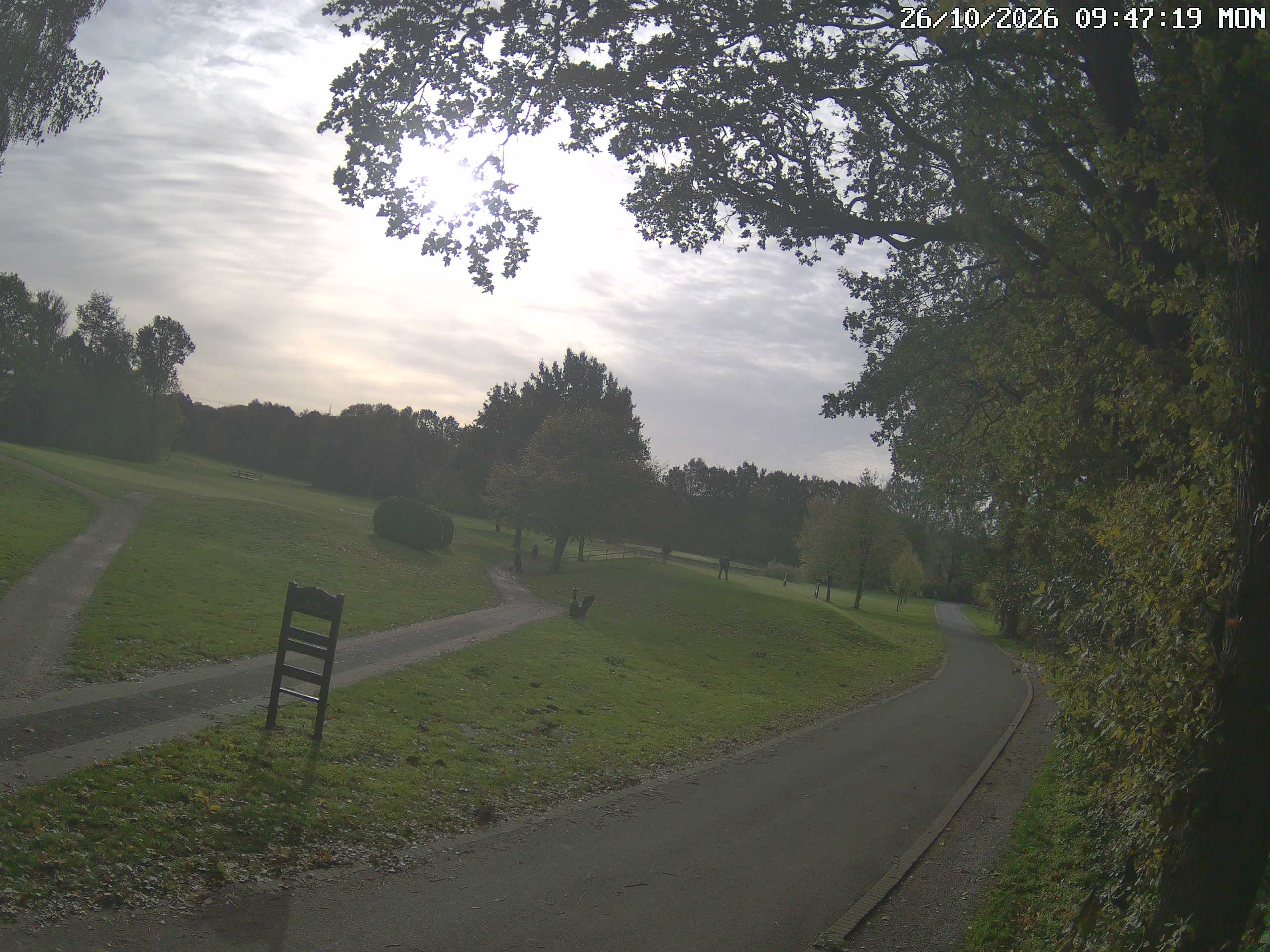 GCW Webcam Grün 10