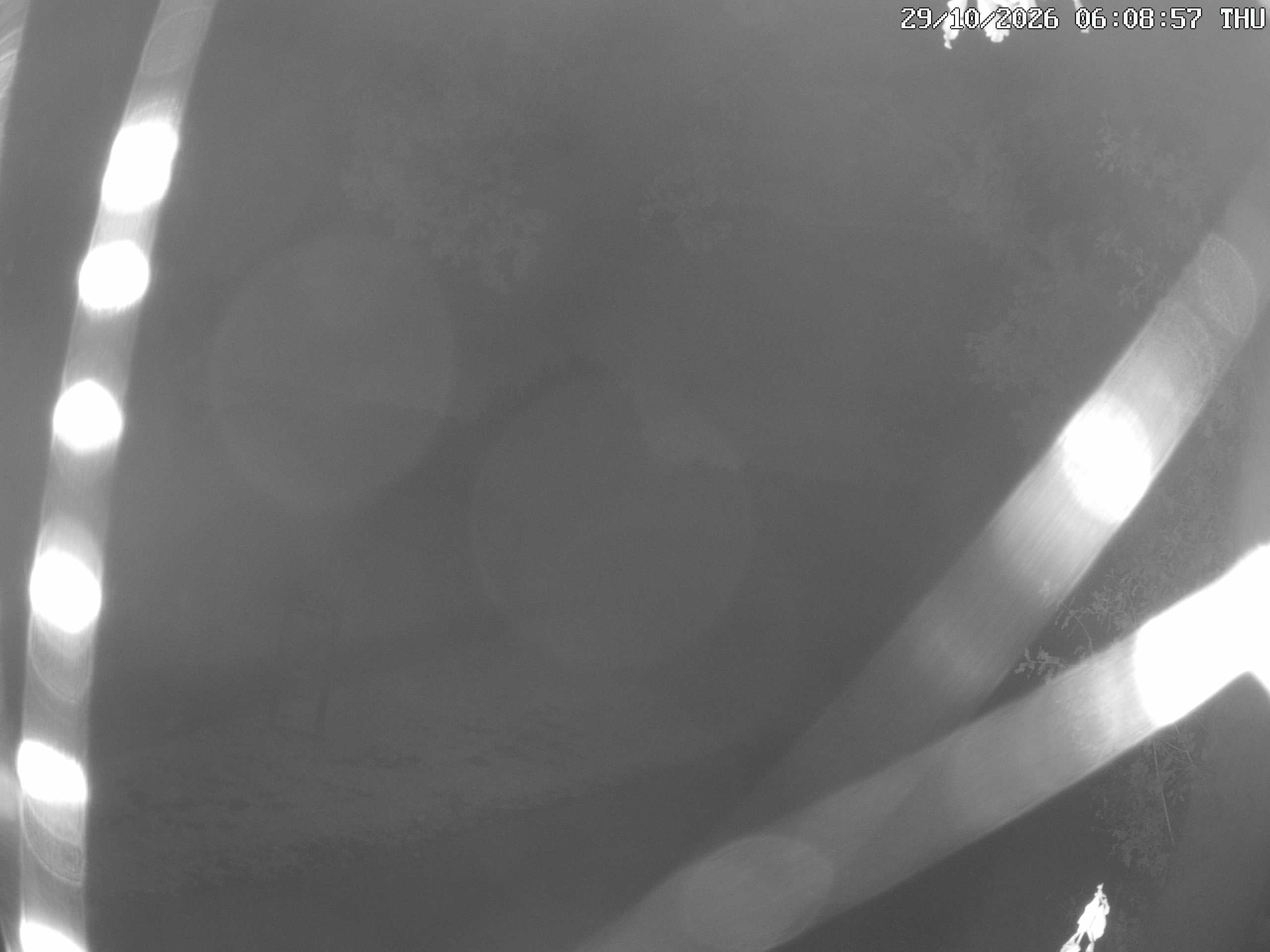 GCW Webcam Grün 10