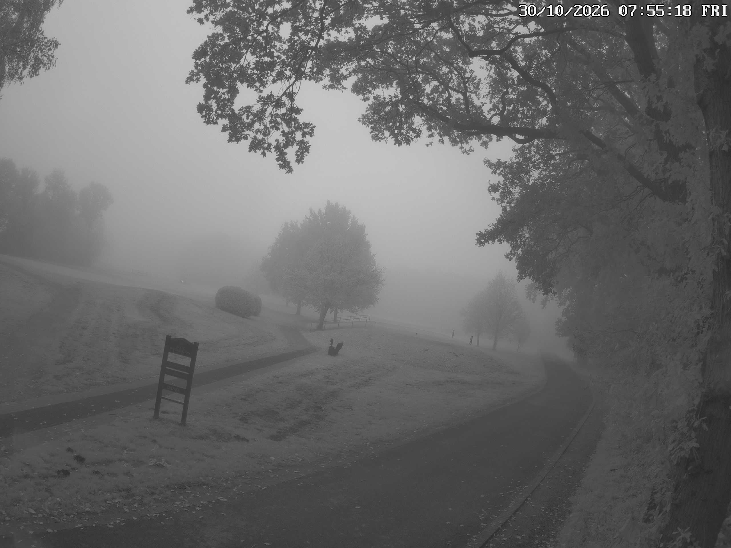 GCW Webcam Grün 10